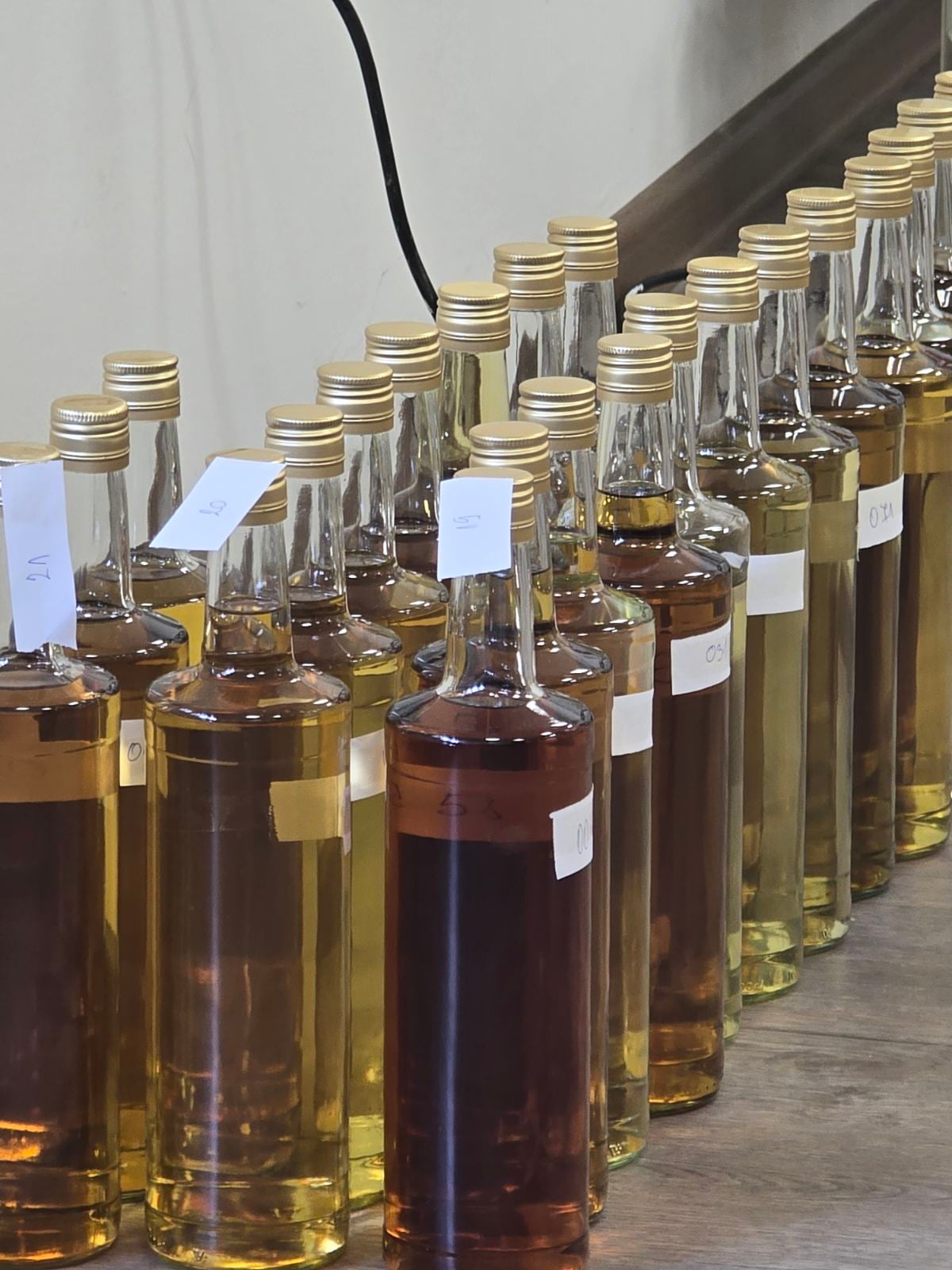 Ракијада 2025. године rakijada 2025 sljivovica rakija
