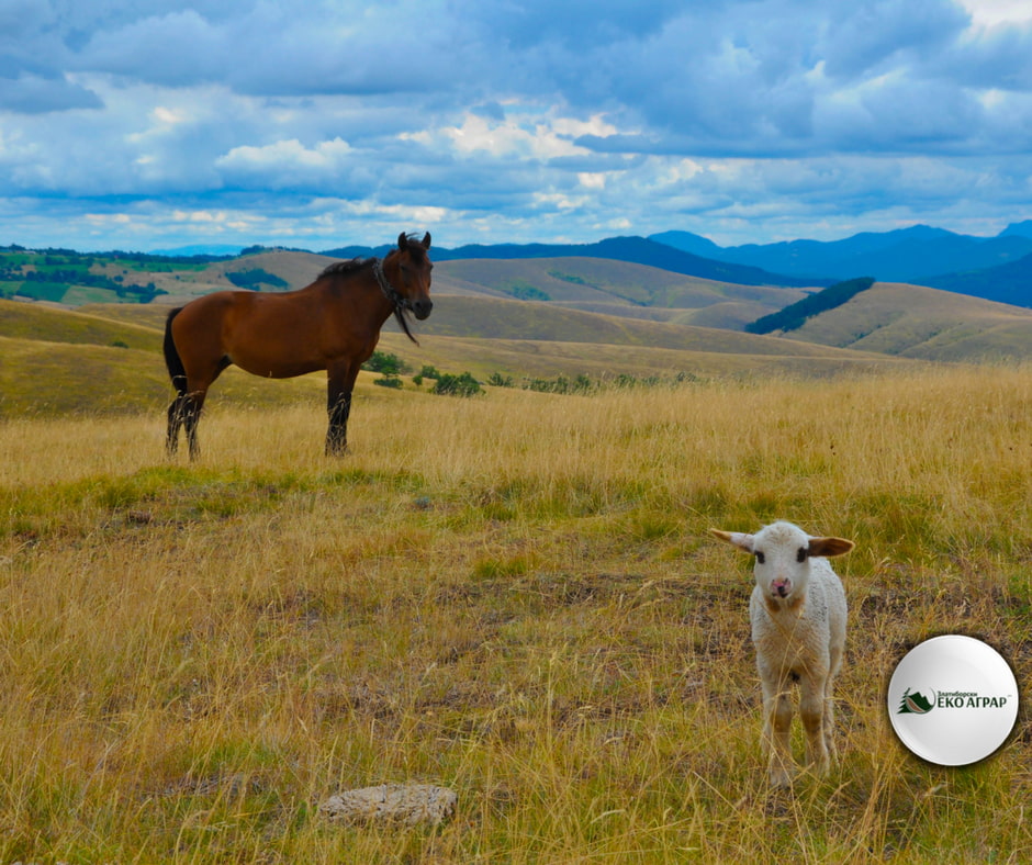 javni poziv podsticaji sredstva