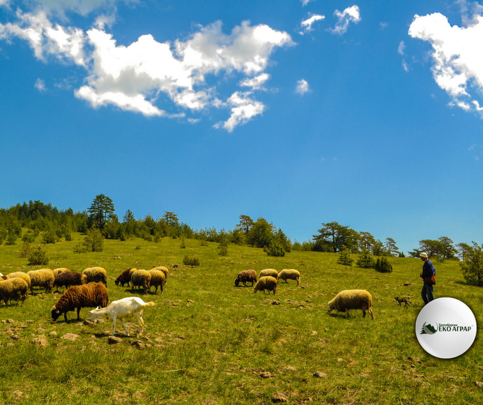 javni poziv podsticaji sredstva