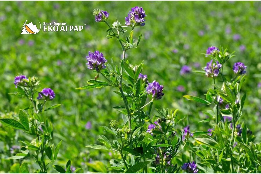 javni poziv podsticaji sredstva