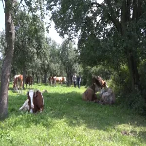 Еко Аграр