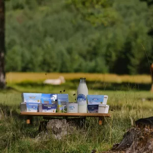 Млекара Наша Златка