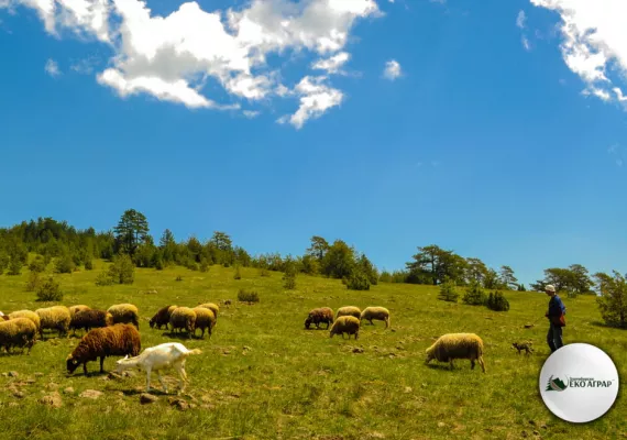 javni poziv podsticaji sredstva