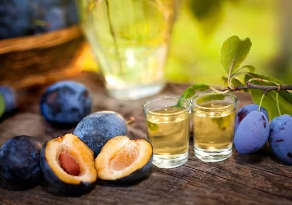 javni poziv podsticaji sredstva