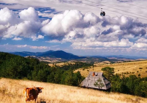 sajam zlatibor poljoprivreda