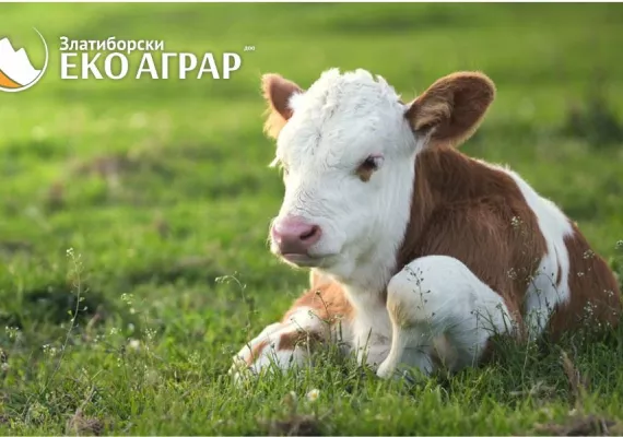 javni poziv podsticaji sredstva